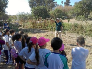 El Consistorio ya ha iniciado este mes de octubre el Programa de Huertos Escolares.