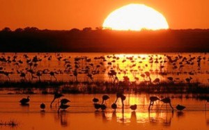 Trabajan para promocionar el Destino Doñana.