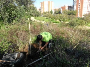 El proyecto pretende concienciar de la importancia de preservar el medio ambiente.