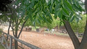 El nuevo Centro Hípico de la Cuenca se ubica en Nerva.