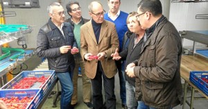 Visita a la cooperativa hortofrutícola Bonafru.