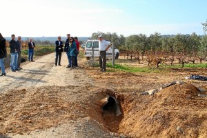 Visita al camino de Chucena. 