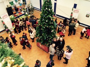 El Árbol solidario de los regantes palermos.