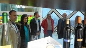 Visita al Centro de Interpretación del Vino. 