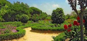 Visita guiada al Jardín Botánico Dunas del Odiel.