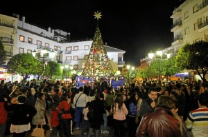 Imagen del árbol en la pasada Navidad.