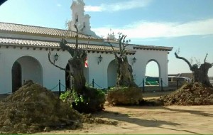 La Ermita de Clarines comienza sus obras de remodelación, a las que se suman la plantación de olivos.