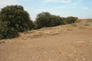 Los interesados en hacer esta ruta deben inscribirse previamente. / Foto: Ayuntamiento de Escacena del Campo.