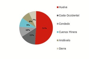 Procedencia de los visitantes. 