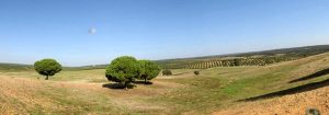 Paraje El Labradillo. / Foto: Juan Carlos Cazalla Montijano para el IAPH.