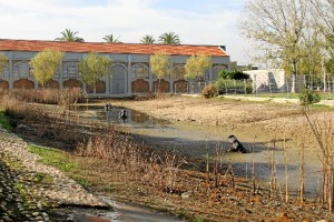 Se ha procedido al vaciado del estanque con el fin de sanear el agua.