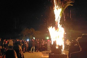 Sobre la una de la pasada madrugada quedaba convertido en cenizas el palmito, el símbolo del carnaval de San Juan del Puerto.