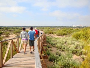 Las primeras labores de limpieza tendrán lugar durante el mes de marzo, antes del período vacacional de Semana Santa.