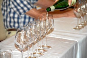 Varios vinos de la provincia han sido premiados en diferentes categorías. 