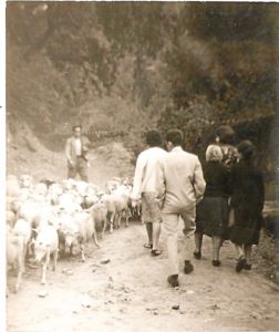  Años cuarenta del siglo pasado: Un rebaño de ovejas, al cuido de su pastor, se dirige desde el Conquero al centro de la ciudad ante los ojos atónitos de varios transeúntes que se han aventurado por aquellos lares