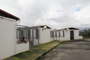 Refugio de animales de Valverde del Camino.