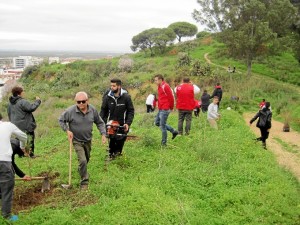 Segunda jornada de reforestación en el Parque Moret-Laderas del Conquero.