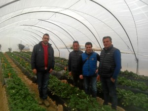 Expertos italianos visitan la fina 'El Cebollar' en Moguer.