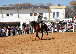 Este fin de semana se celebra la XV Feria del Caballo de Cartaya.