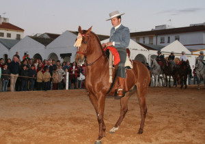 Las exhibiciones ecuestres no faltaron.