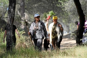 La ruta recorrerá una distancia de 12,5 kilómetros.