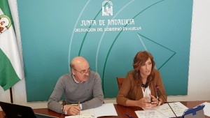 Los primeros resultados apuntan a un origen colectivo en el que intervienen el conjunto de la actividad industrial y las condiciones meteorológicas.