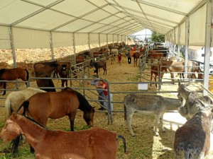 Una feria tradicional.