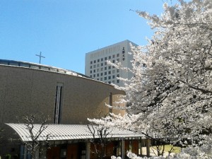 Estuvo un año en la Sophia University japonés.