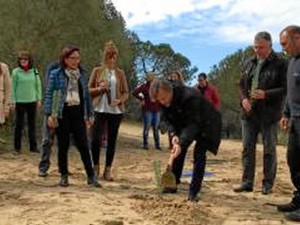 Momento de la reforestación.