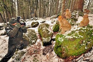 Mingorance es uno de los fotógrafos españoles de naturaleza más reconocidos a nivel internacional.