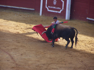 'El Fandi' fue el triunfador del festejo.