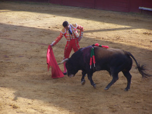 El granadino no defraudó.