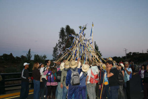 14 años de camino.