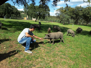 Los visitantes han conocido distintos municipios de la Sierra.