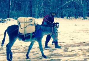 El trayecto ha sido duro por la nieve. 