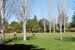 Más parques caninos en Huelva.