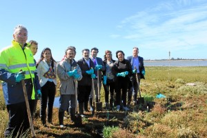 La plantación es de especies autóctonas.