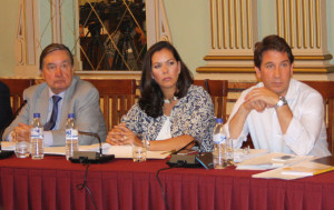 Ciudadanos, durante el pleno.