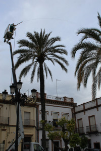 Labores de fumigación.