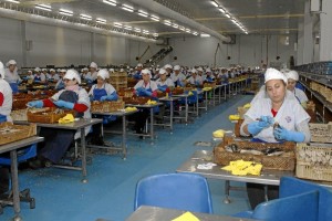 Se trata de una empresa de referencia en el sector de las conservas de pescado y salazones. / Foto: José Rodríguez.