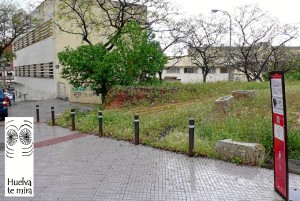 El punto de encuentro para iniciar la actividad es el Centro de Salud Adoratrices, en calle Fray Junípero Serra, a las 19:00 horas.