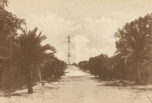 Esta imagen de 1929 muestra el lugar que antes había ocupado la palmera ya sin rastro de ella