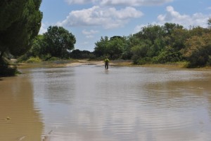 Estado de los caminos.