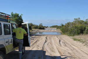 El operativo ha revisado los caminos.