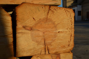 Sección transversal de una viga procedente de un edificio histórico donde puede diferenciarse los anillos de crecimiento de la madera.