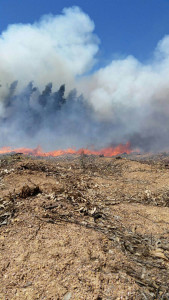 Una imagen del incendio. / Foto: Antonio Rosillo.