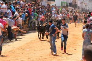 Tipica carrera de mozos por la calle Pozonuevo en el encierro matinal.