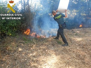 Hasta la llegada de los bomberos los agentes evitaron que el fuego se propagara a una vivienda próxima.