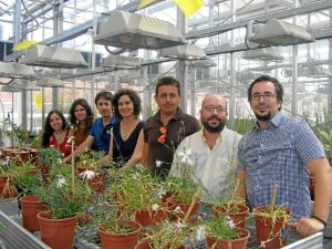 Equipo de investigación de la Universidad de Sevilla que persigue la conservación de un clavel autóctono del entorno de Doñana.