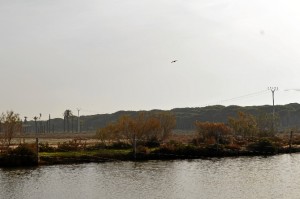 Salinas del Astur.